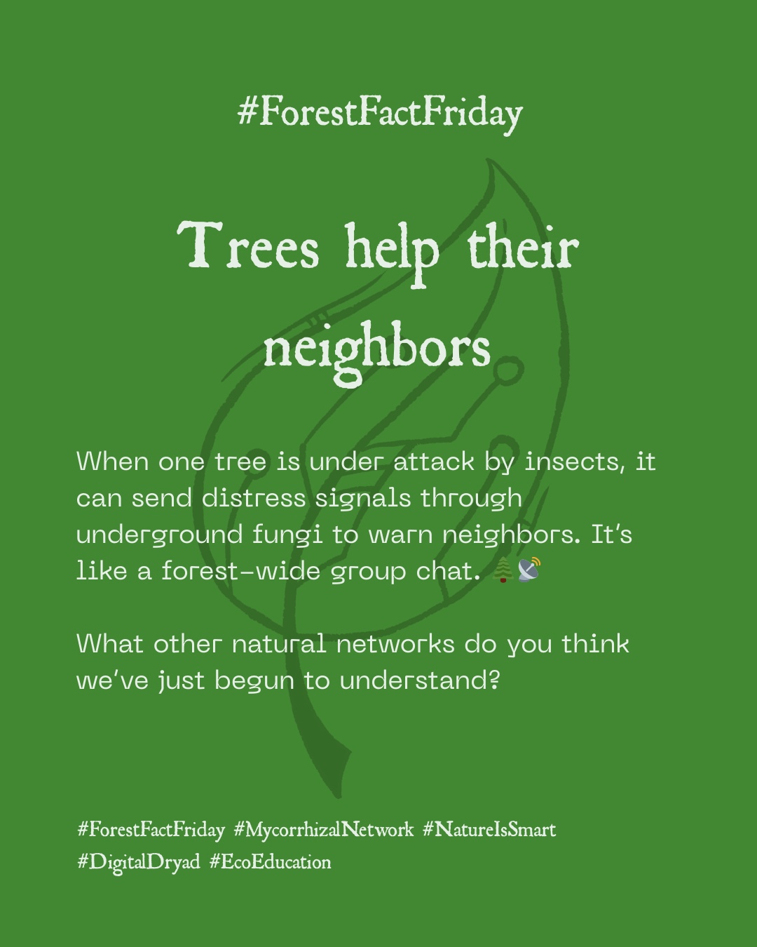 Did you know trees can help each other survive?