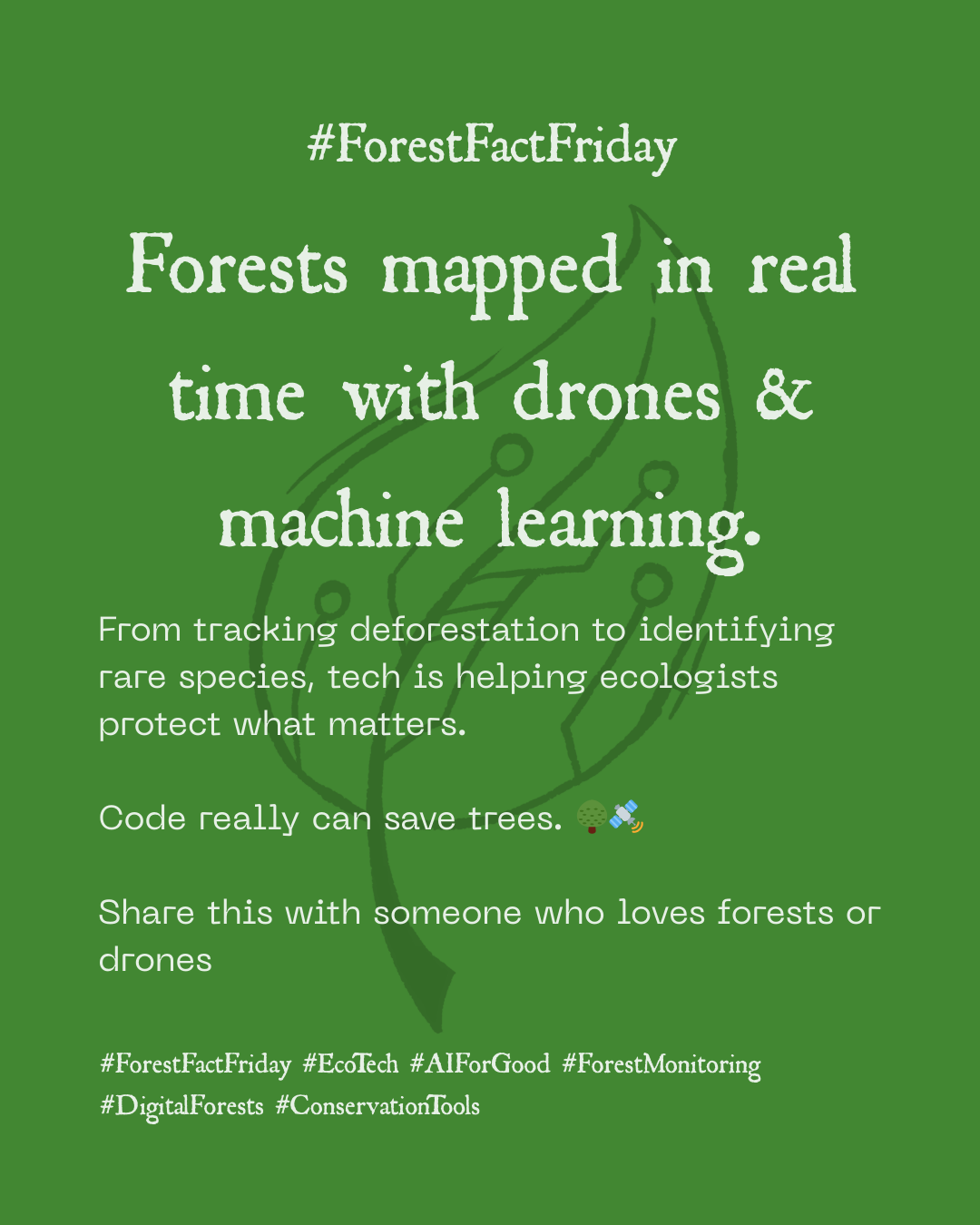 Forests are being mapped in real time with drones and machine learning.