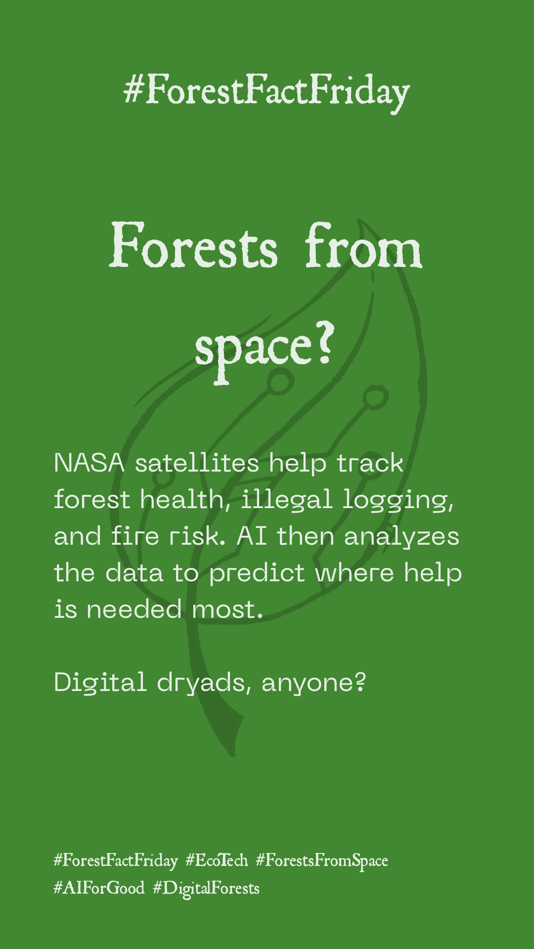 Forests From Space