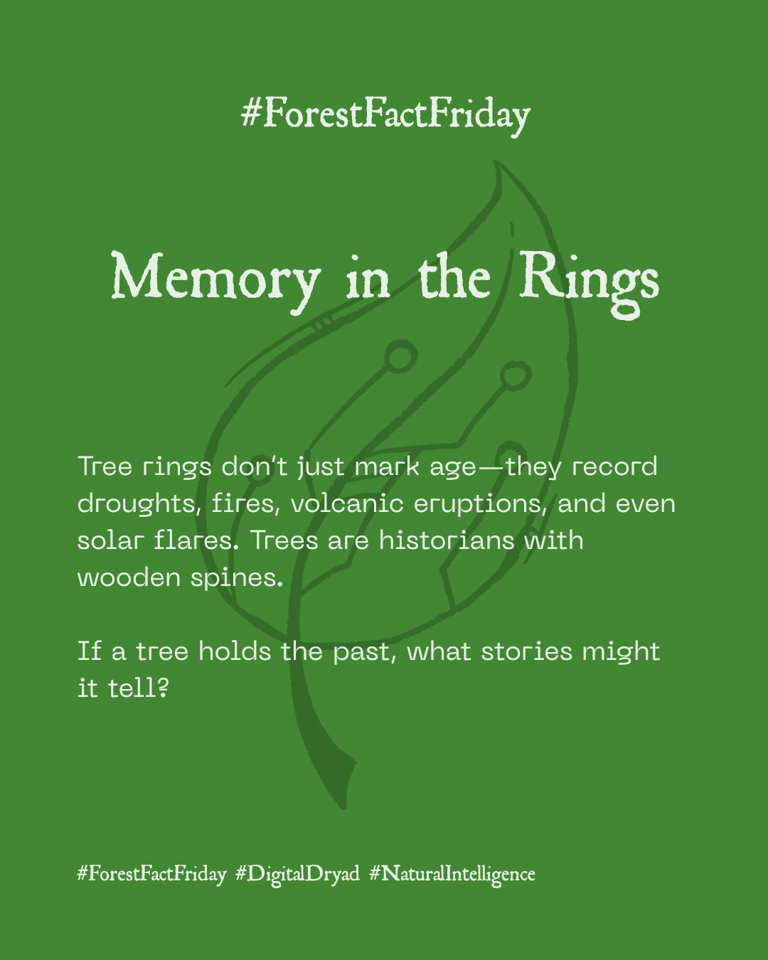 Memory in the Rings