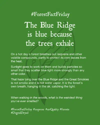 Forest Fact Friday - The Blue Ridge is blue because trees exhale