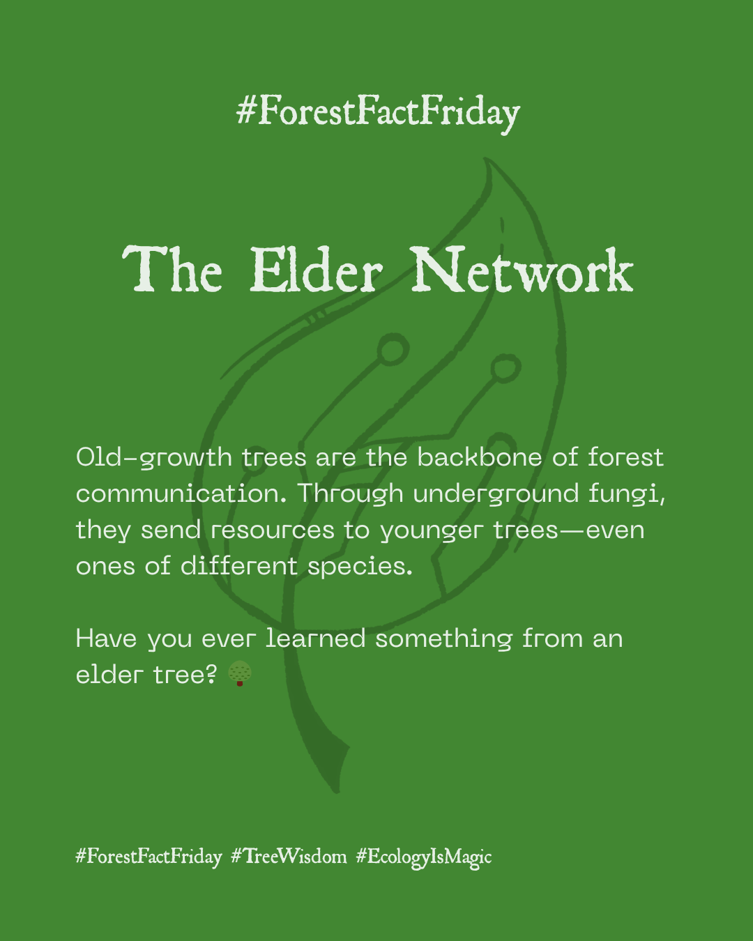 The Elder Network