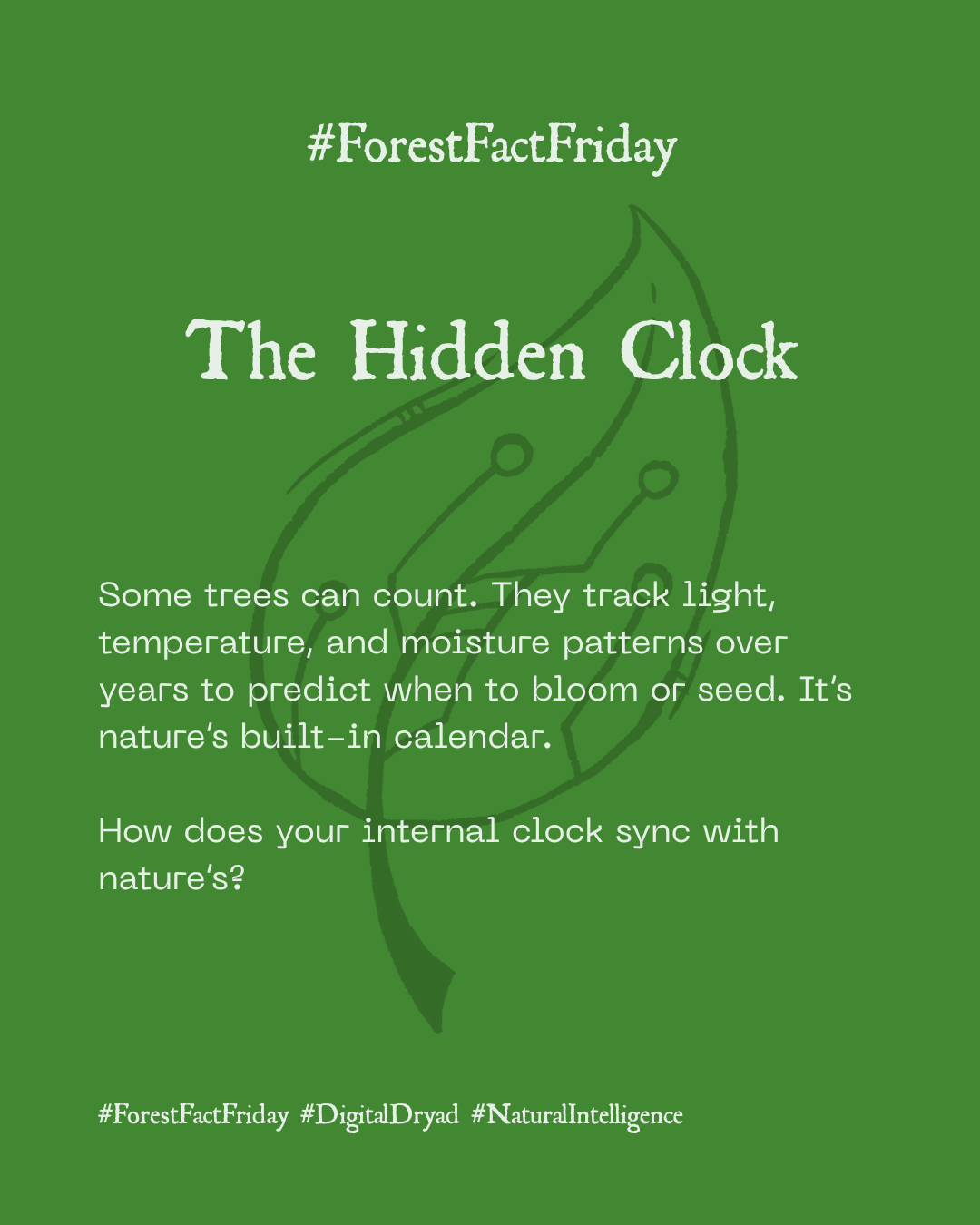 The Hidden Clock