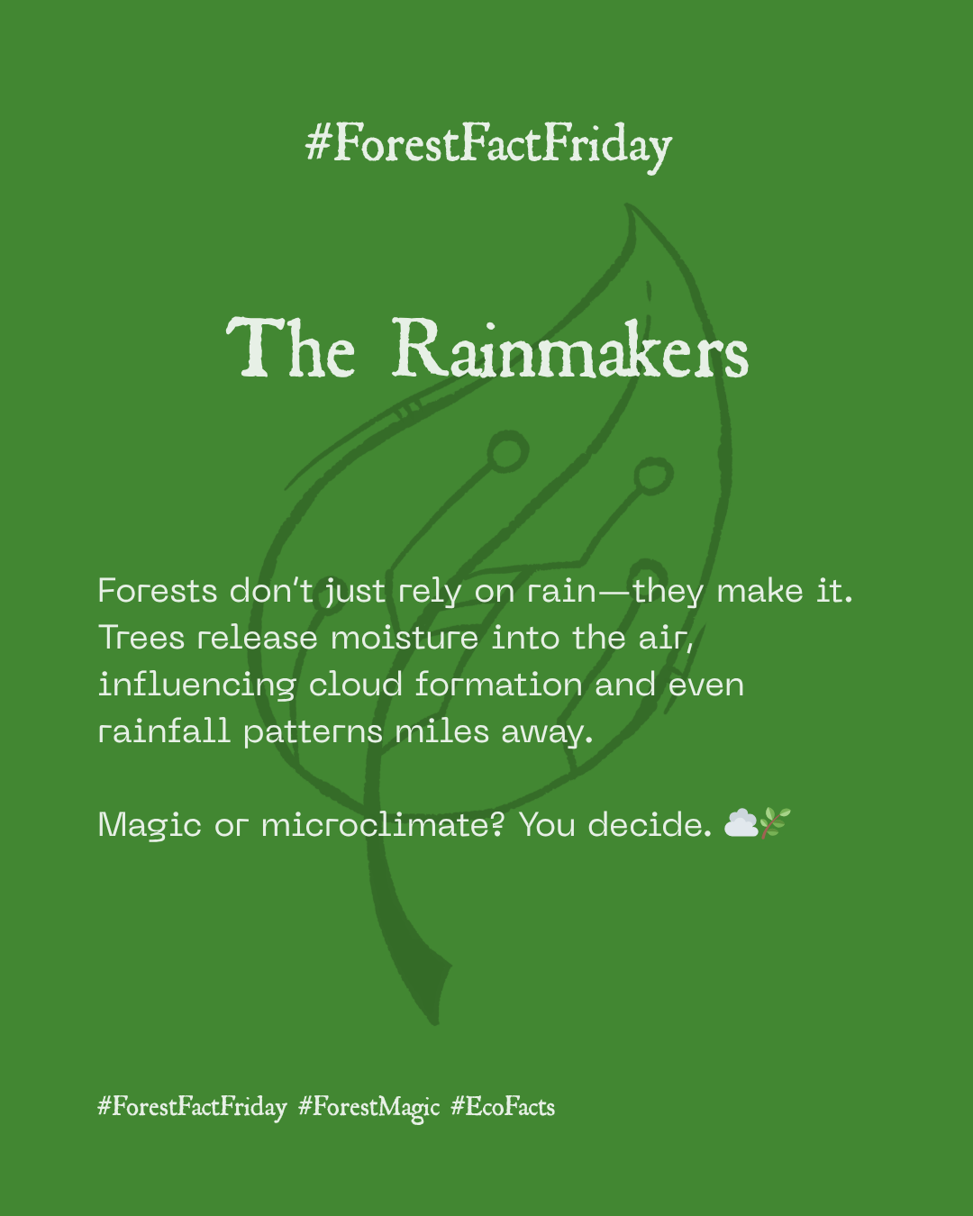 The Rainmakers