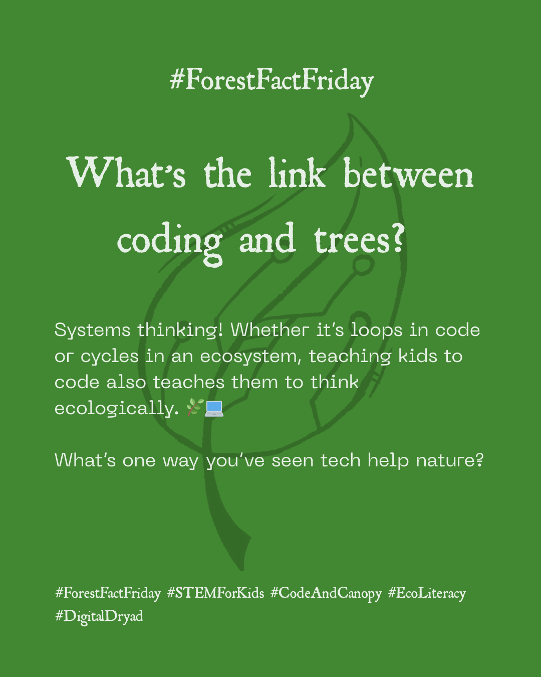What’s the link between coding and trees?